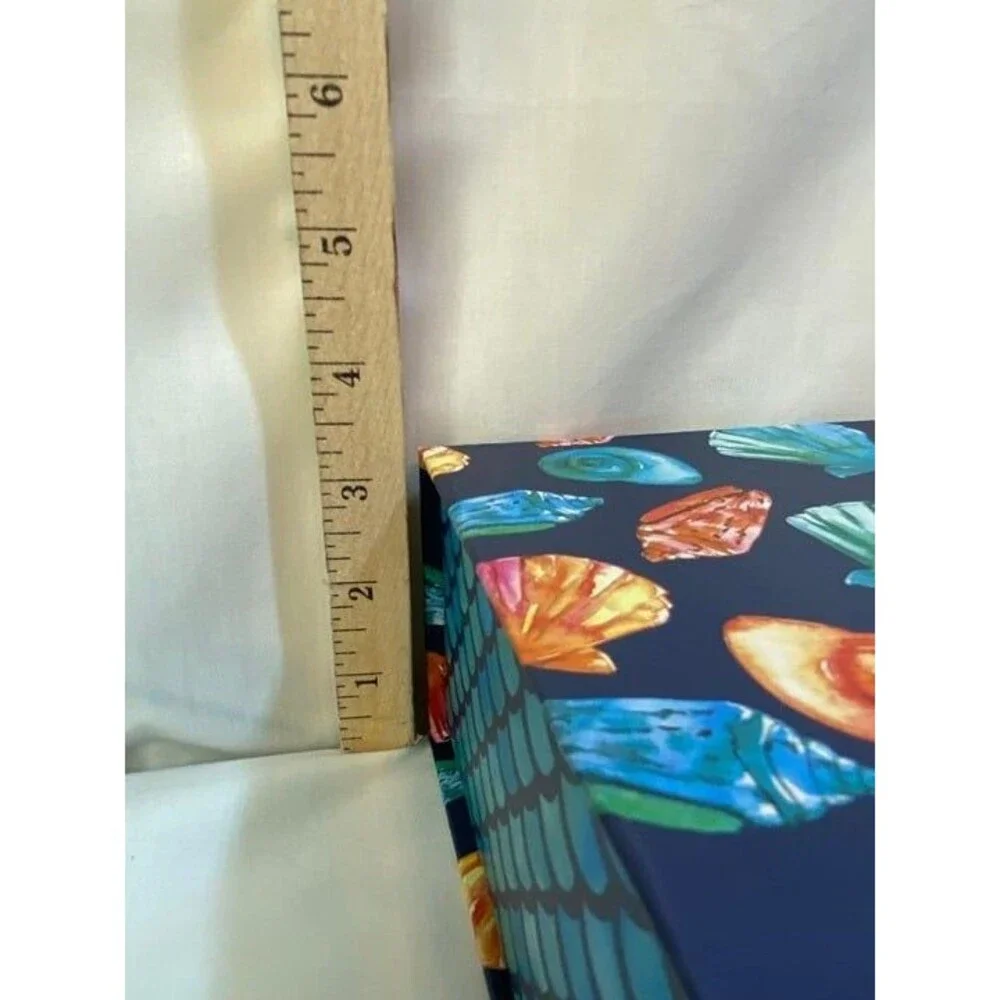 Gift Box Sea Shells 9.5